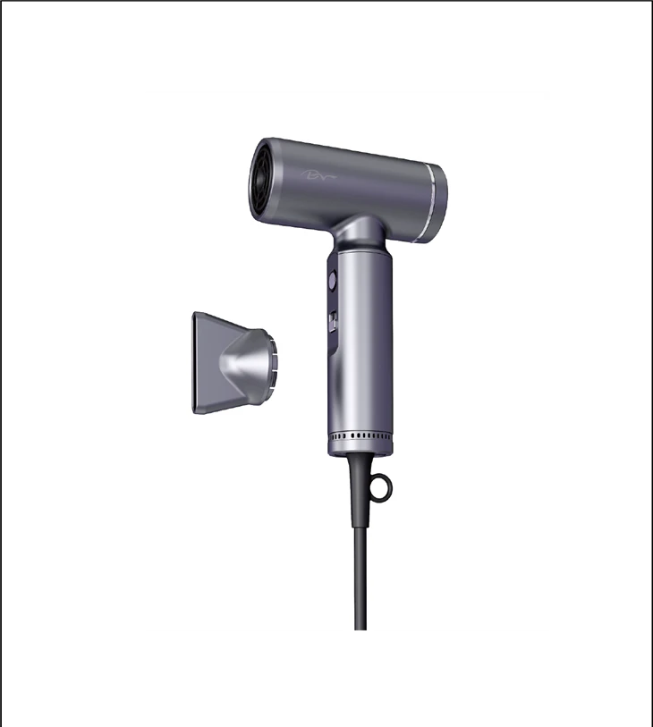 Lightweight Professional Hair Dryer
